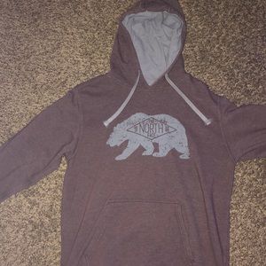 the north face hoodie